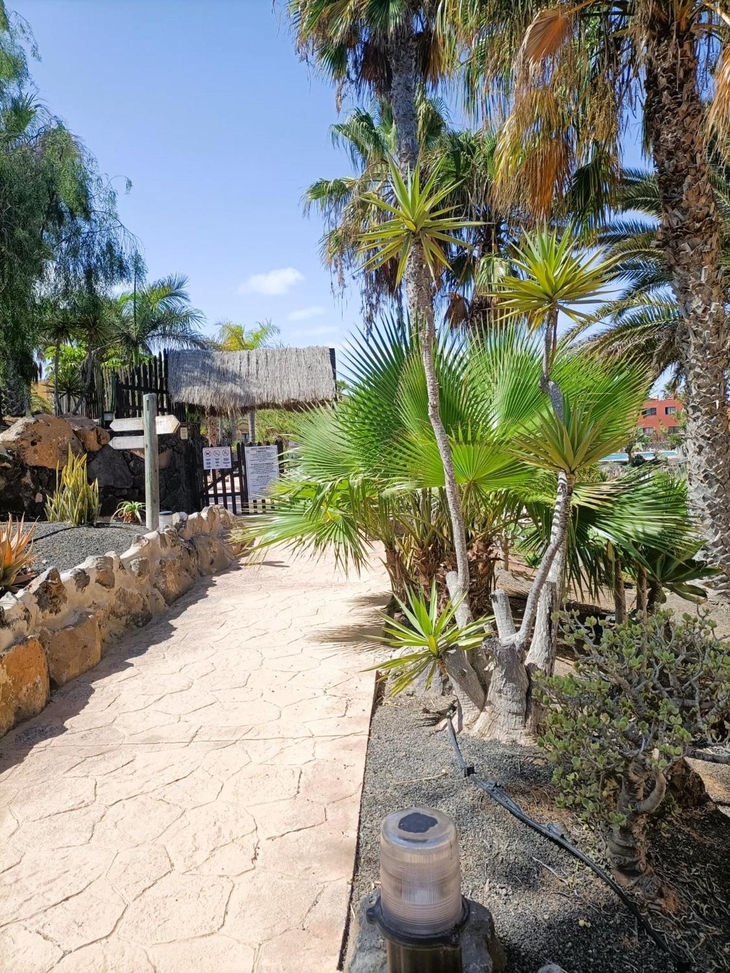 Casa Vacanza In Oasis Tamarindo Villa Corralejo Exterior photo